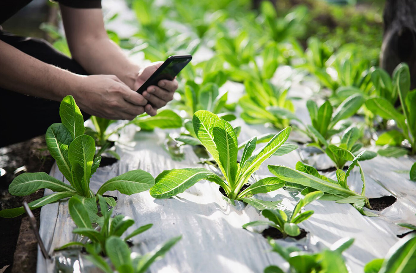 How to Create a Social Media Calendar to Plan Your Content 1 10 1